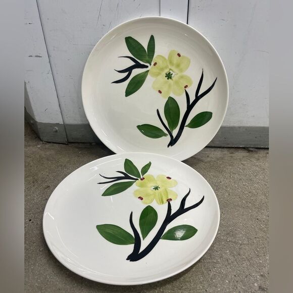 Set of 2 Dinner Plates - Picture 1 of 3